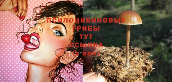 сатива Алексеевка