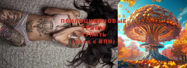 сатива Алексеевка
