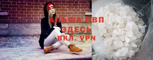 сатива Алексеевка