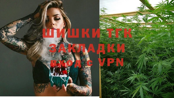 ГАЛЛЮЦИНОГЕННЫЕ ГРИБЫ Пересвет